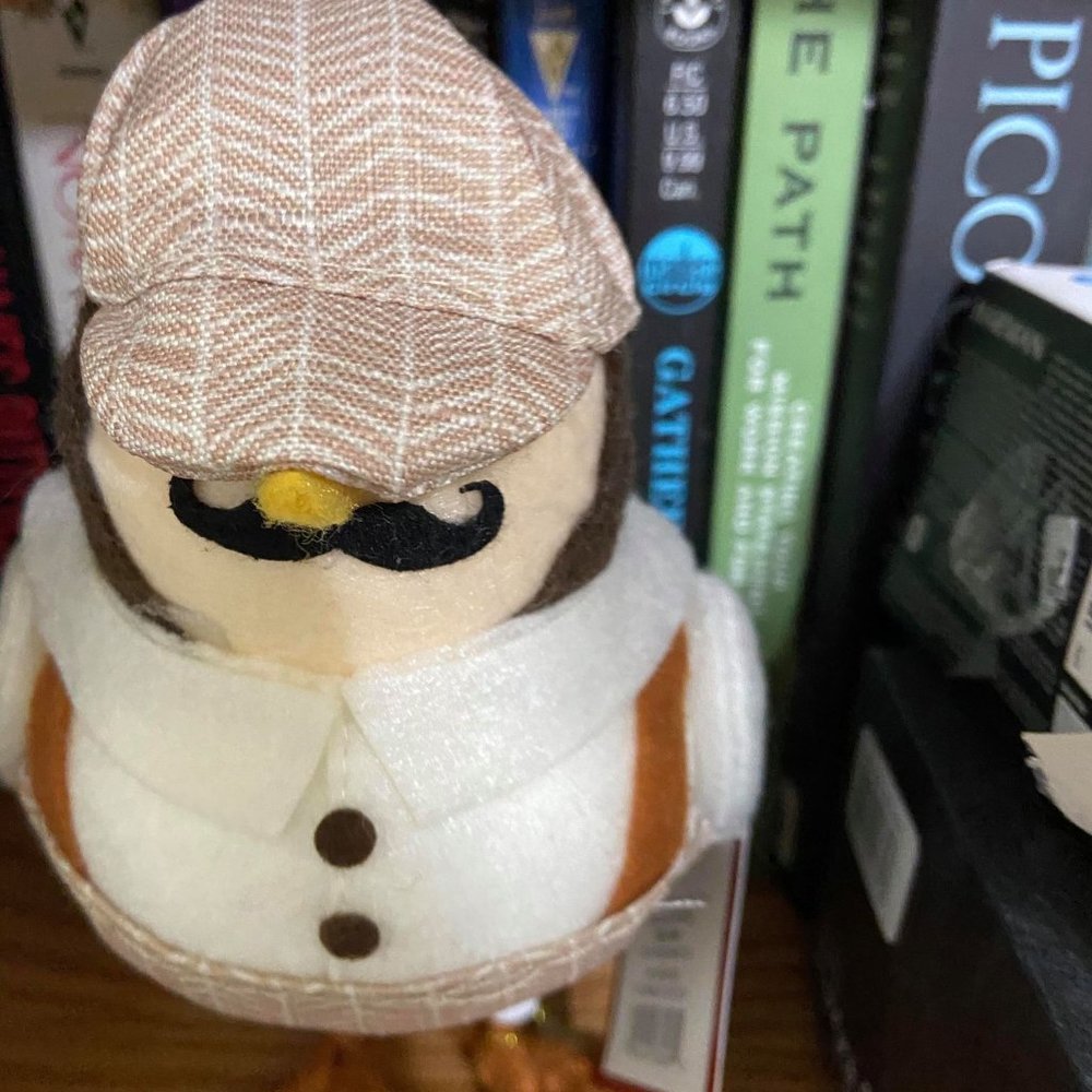 Target Fabric Bird